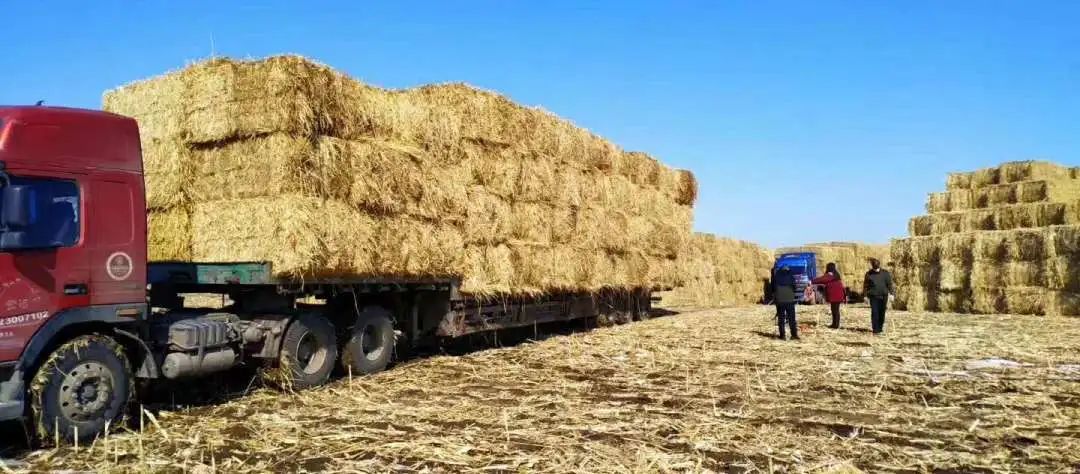 1683679100101544.jpg 微信图片_20230510083720.jpg