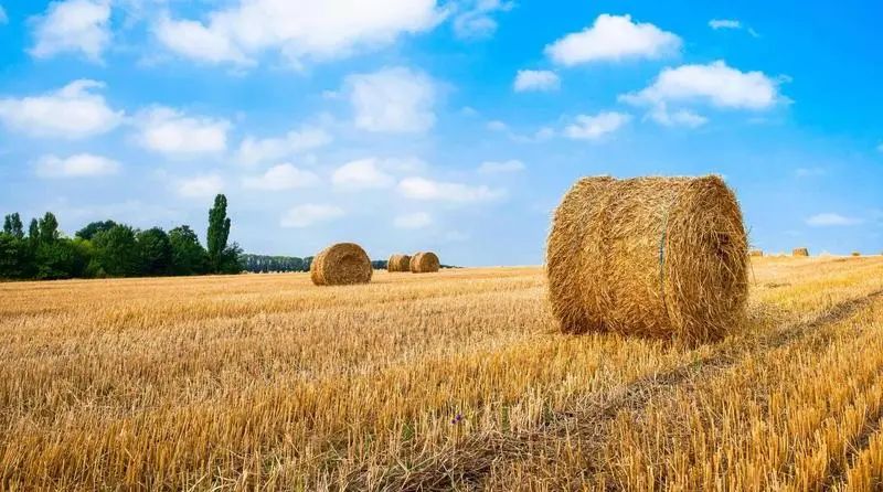 1683679116160401.jpg 微信图片_20230510083725.jpg