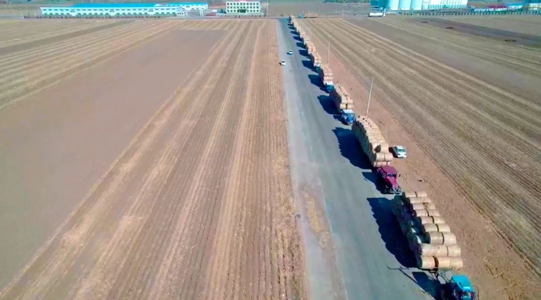 1683767345940128.jpg 微信图片_20230511090831.jpg