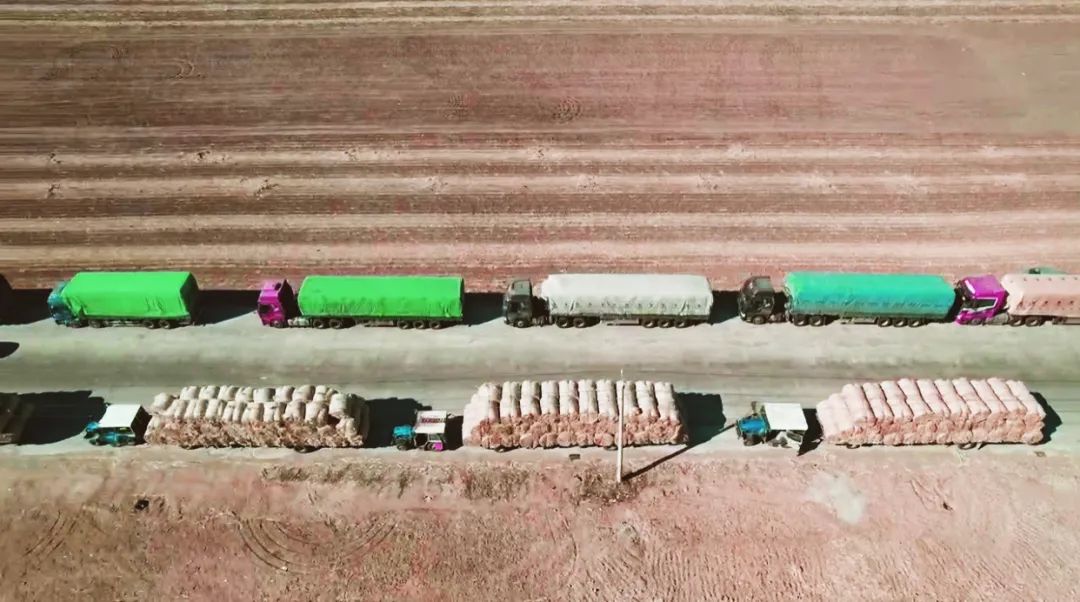 1683767357286102.jpg 微信图片_20230511090843.jpg