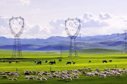 喜报 | 九洲集团子公司沈阳昊诚电气中标内蒙古电力（集团）两包环网柜和箱变合同