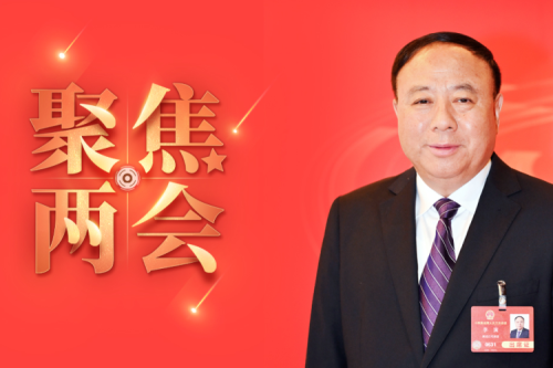 全国人大代表李寅2025年建议之四--尽快解决农林生物质发电可再生能源电价附加补助拖欠问题，化解行业经营风险的建议