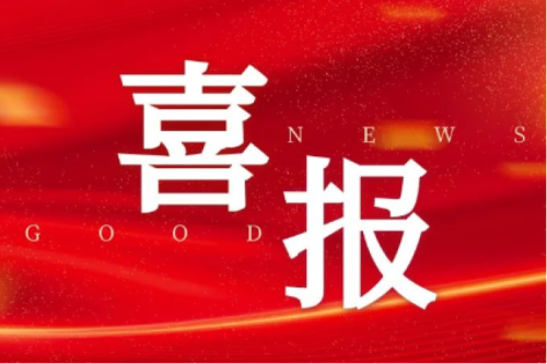喜报！智能配电网事业部荣获2025年黑龙江省工人先锋号（巾帼标兵岗）荣誉称号